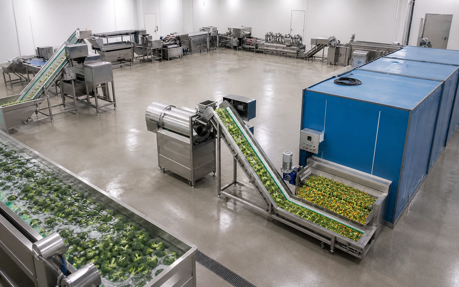 Línea de Congelación IQF para Brócoli y Verduras