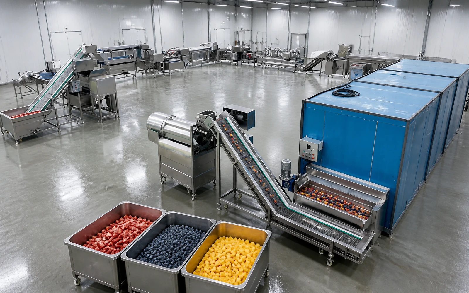Línea de Congelación IQF para Frutas y Frutos Rojos