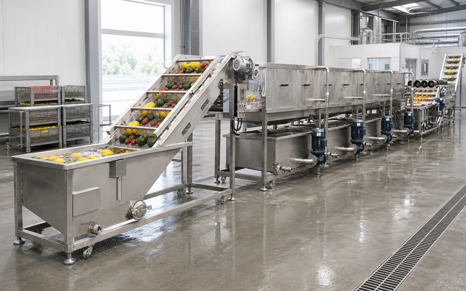 Línea Industrial de Lavado de Frutas y Verduras