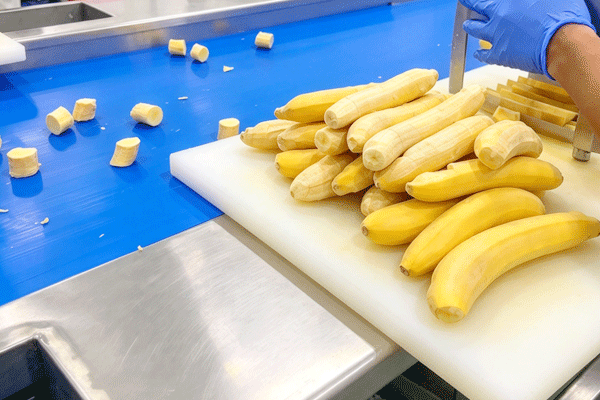 Preparacion de materia prima