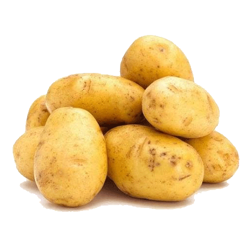 Materia prima