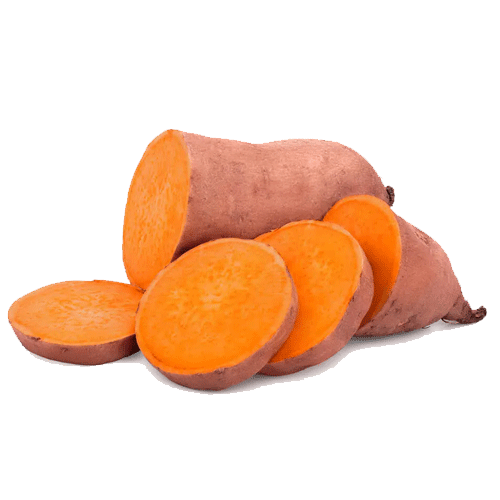 Materia prima