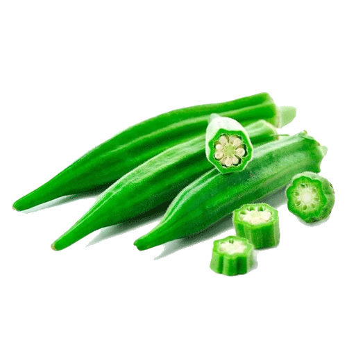 Materia prima