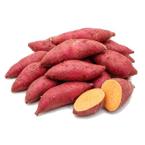 Materia prima