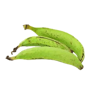 Materia prima