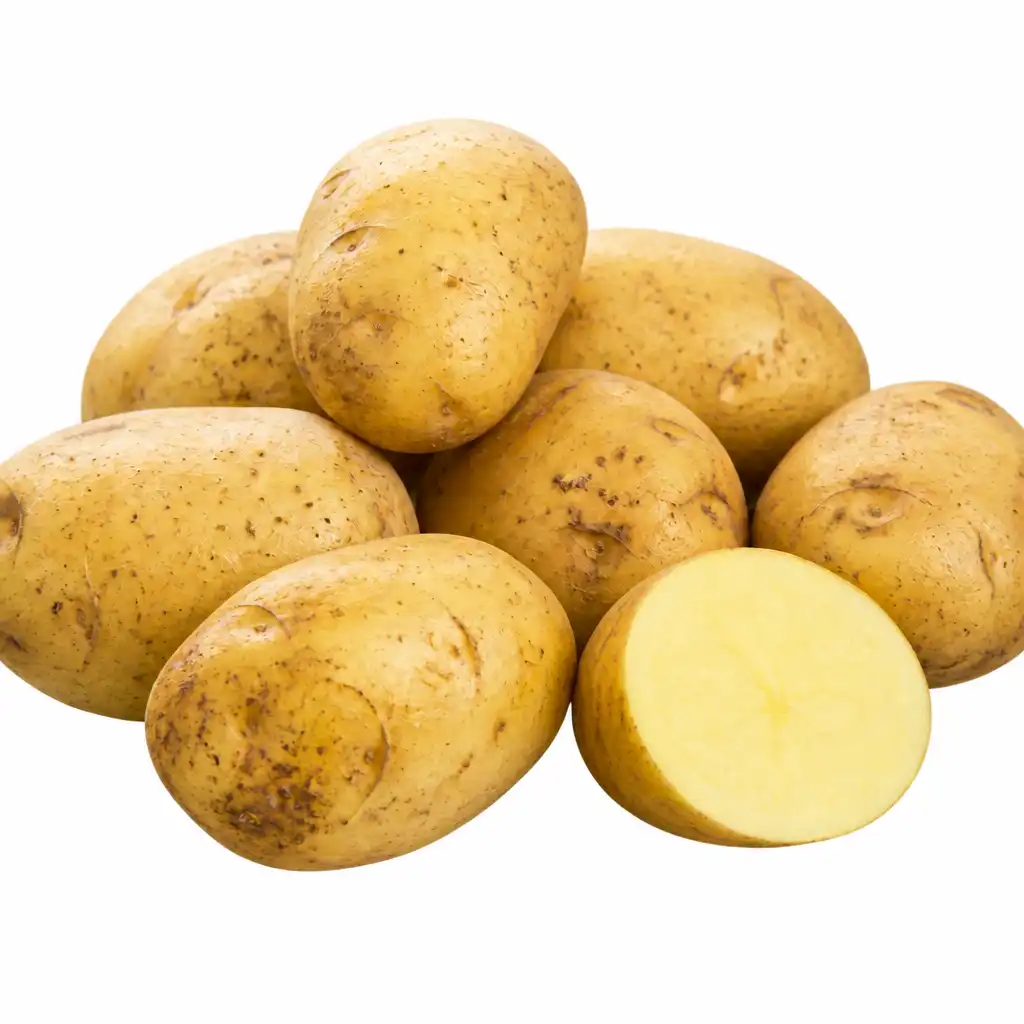 Lineas de Produccion de Papas Fritas Industriales
