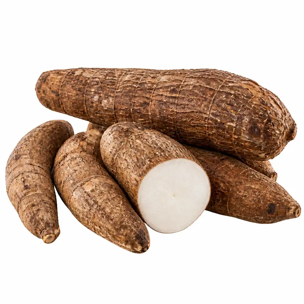 Yuca / Mandioca