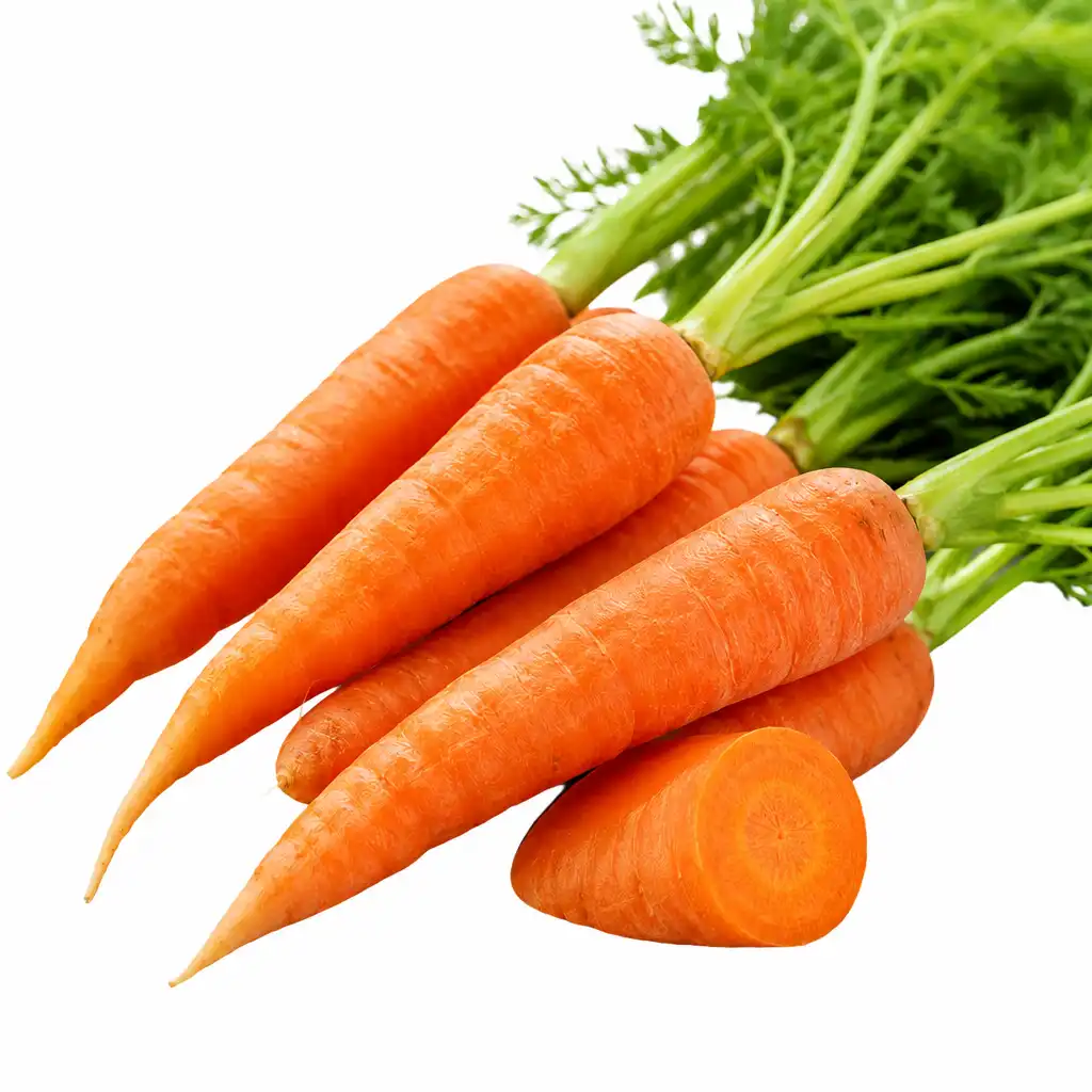 Zanahoria