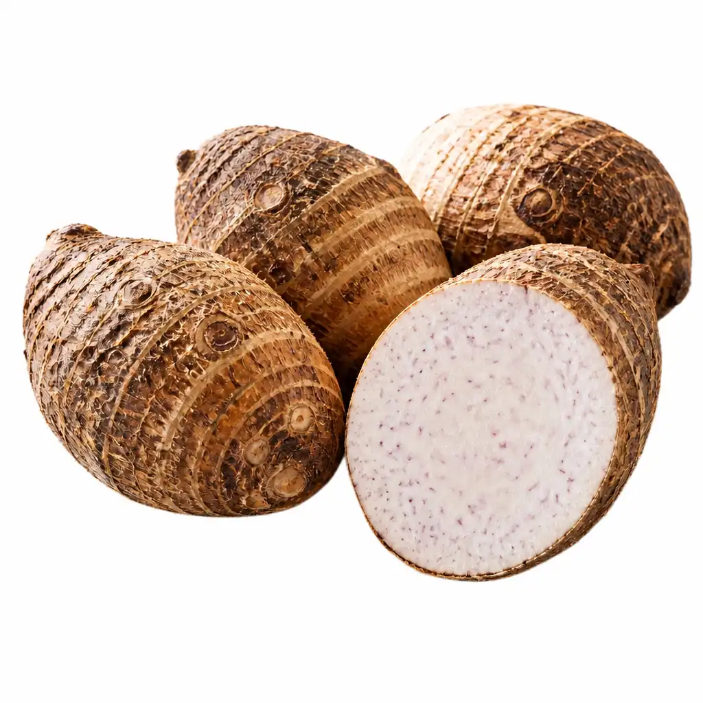Malanga / Taro