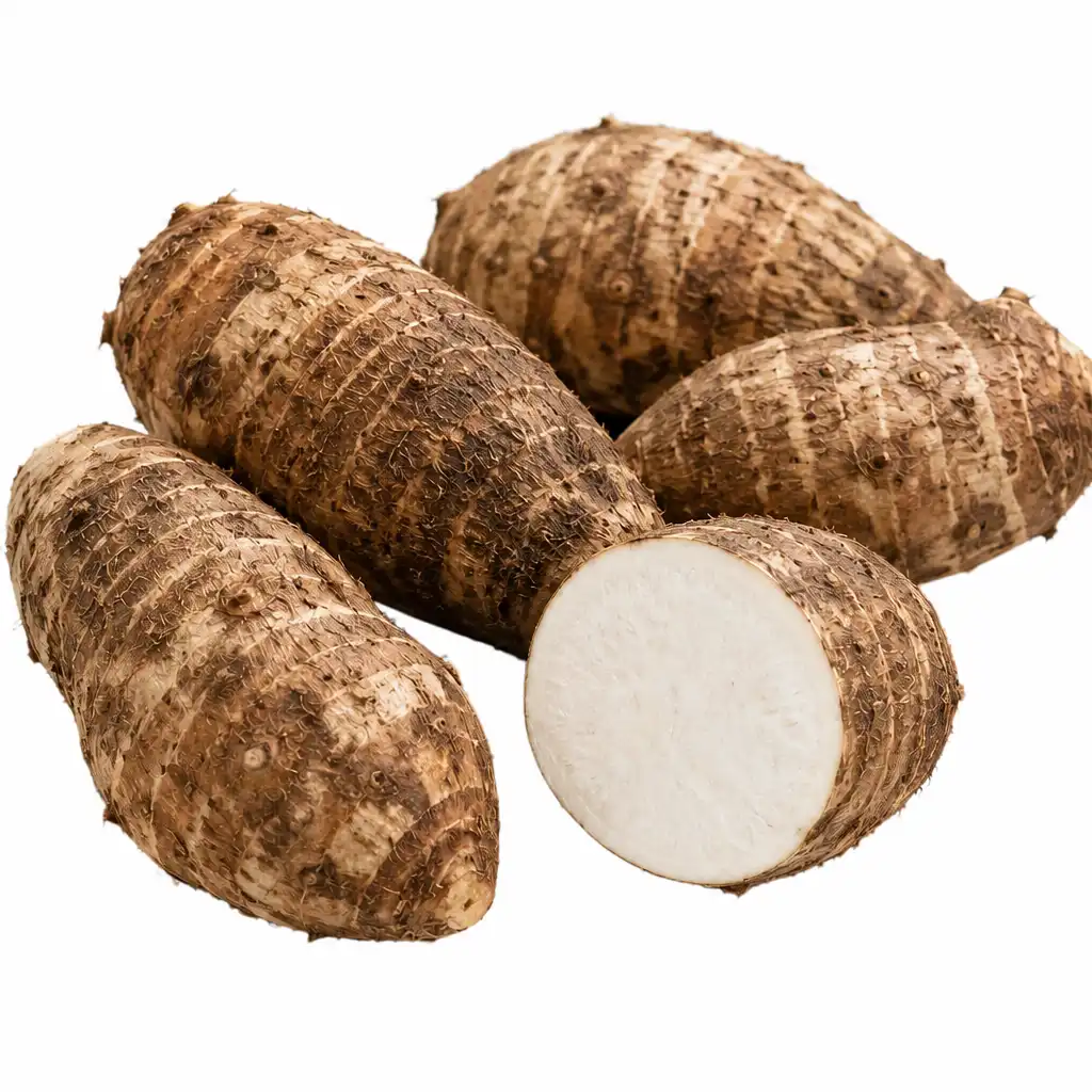 Yautia