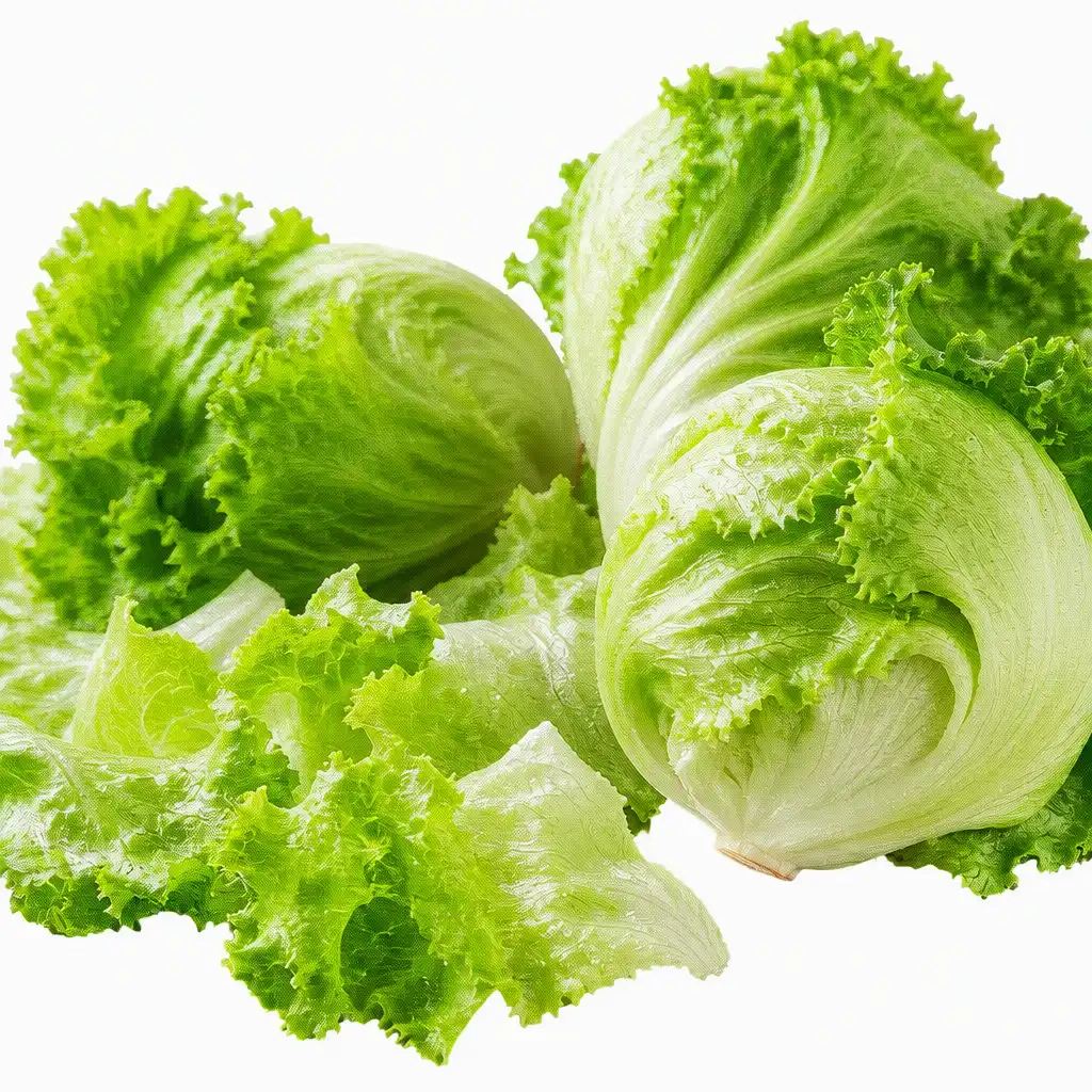 Lineas de Lavado de Frutas y Verduras
