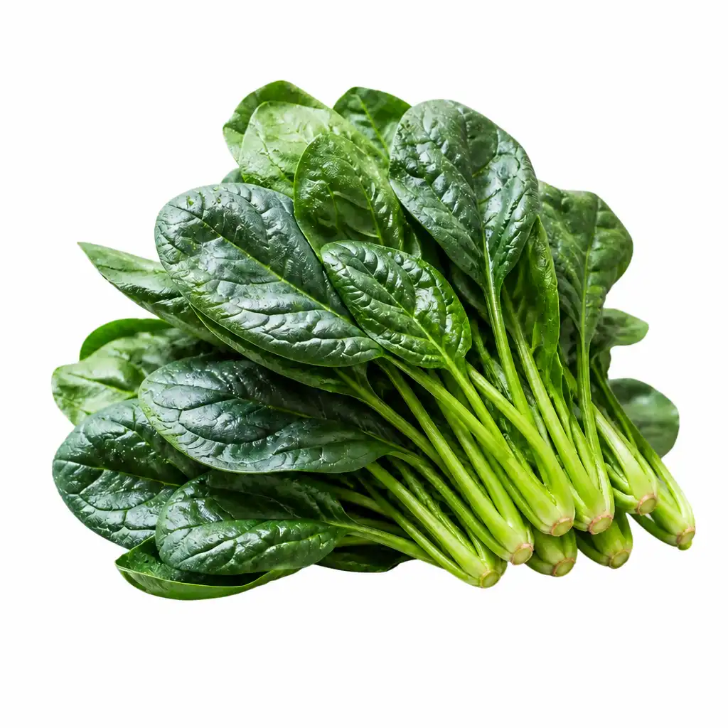 Espinaca