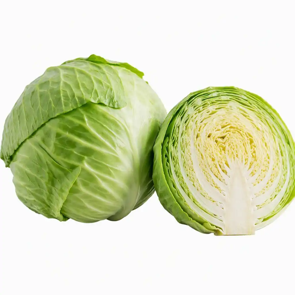 Repollo